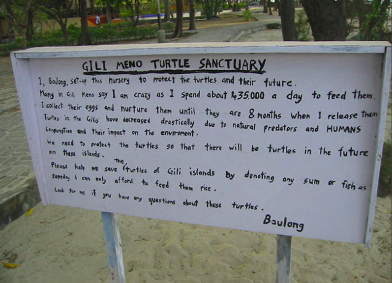 turtle sanctuary