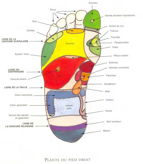 La douleur brûlante au dos et le thorax